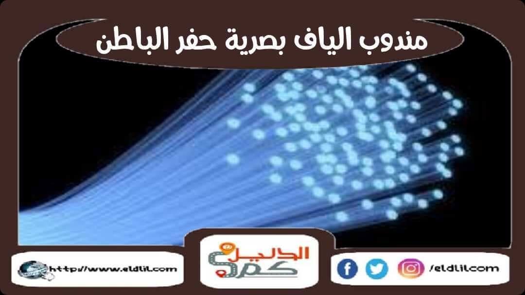 مندوب الياف بصرية حفر الباطن