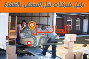 دليل شركات نقل العفش بالقنفذة