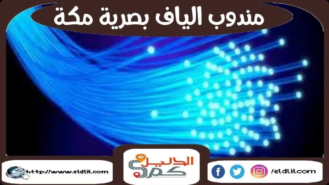 مندوب الياف بصرية مكة