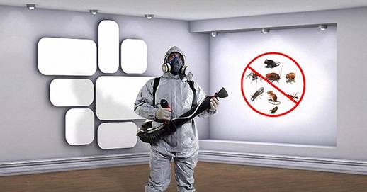 Ø´Ø±ÙØ© ÙÙØ§ÙØ­Ø© Ø­Ø´Ø±Ø§Øª Ø¨Ø§ÙÙØ¯ÙÙØ© Ø§ÙÙÙÙØ±Ø©