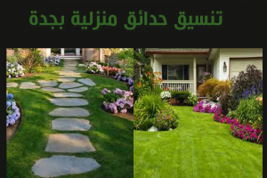 تنسيق حدائق منزلية بجدة