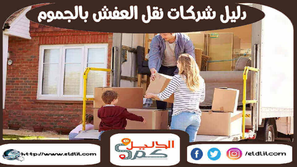 دليل شركات نقل العفش بالجموم