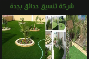شركة تنسيق حدائق بجدة