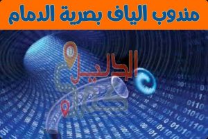 مندوب الياف بصرية الدمام