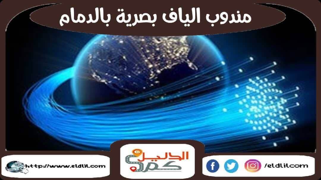 Stc البصرية سعر الالياف مندوب الياف