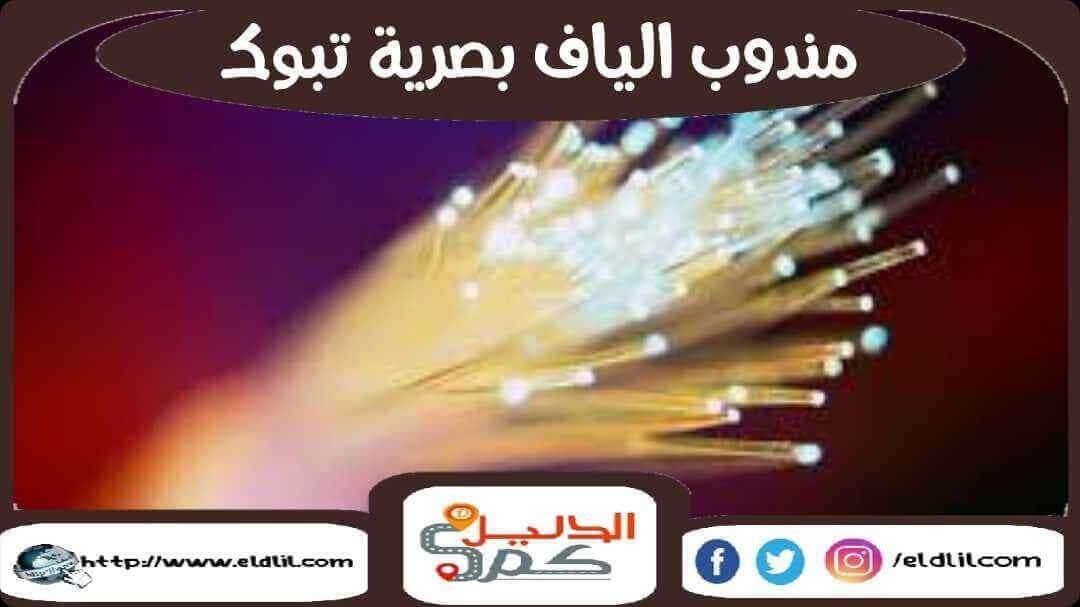 مندوب الياف بصرية تبوك