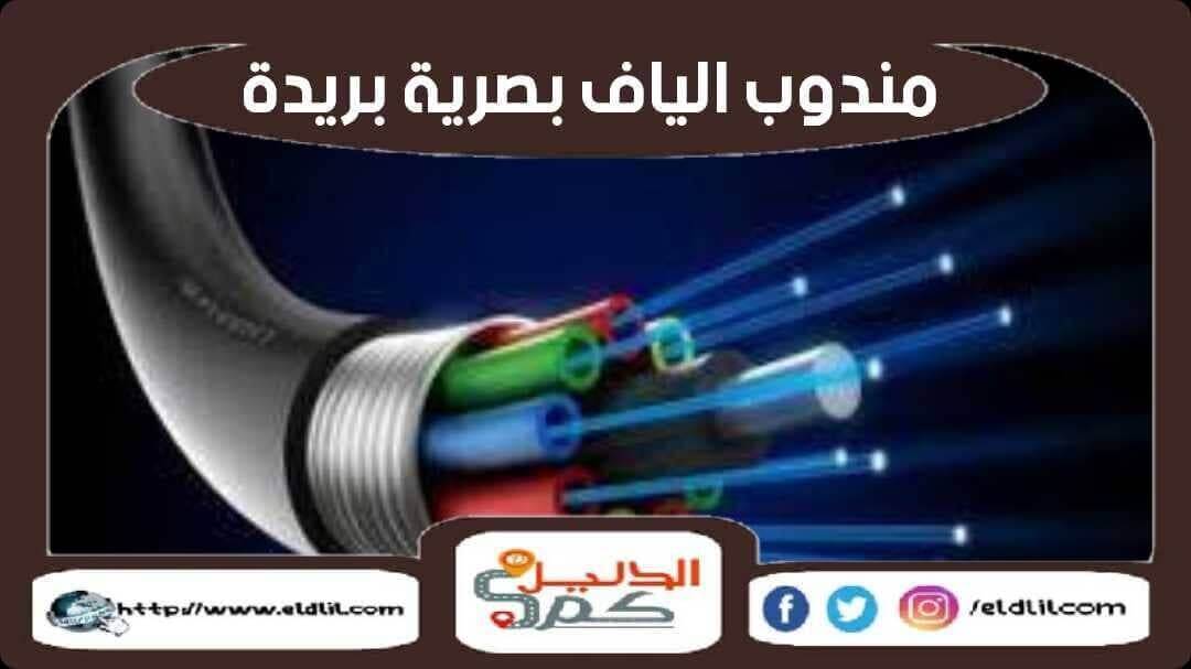 مندوب الياف بصرية بريدة