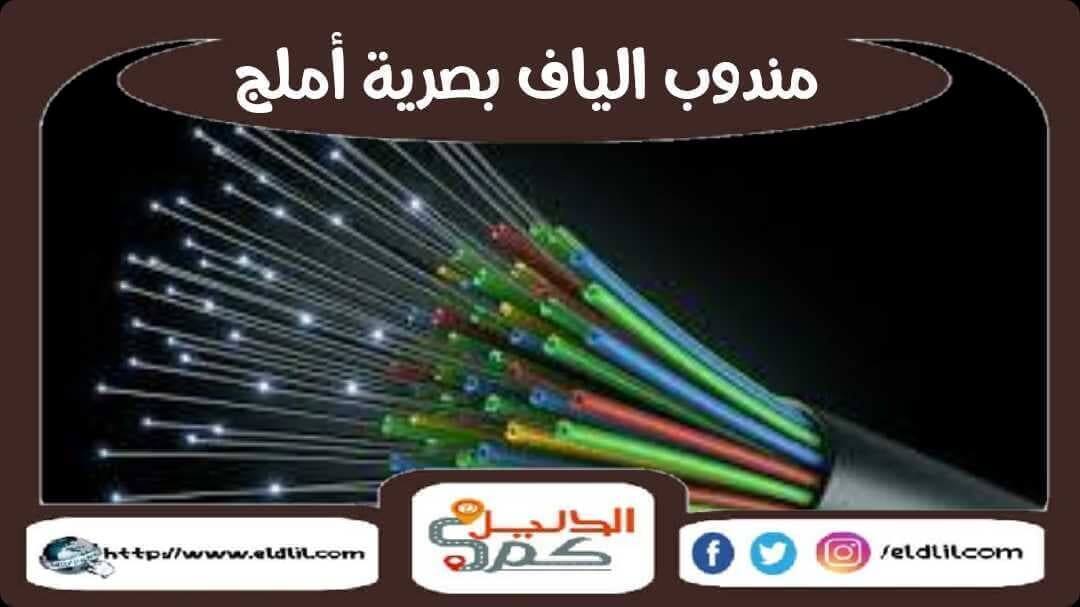 مندوب الياف بصرية أملج