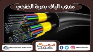 مندوب الياف بصرية الخفجى