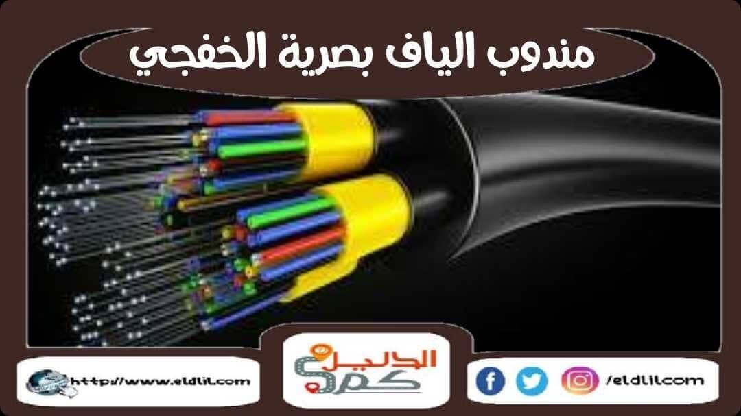 مندوب الياف بصرية الخفجى