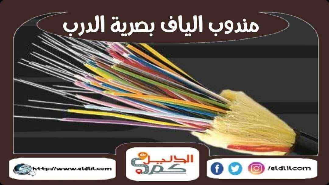 مندوب الياف بصرية الدرب