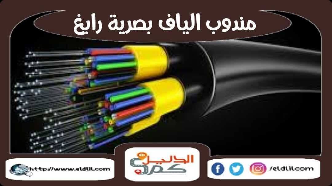 مندوب الياف بصرية رابغ