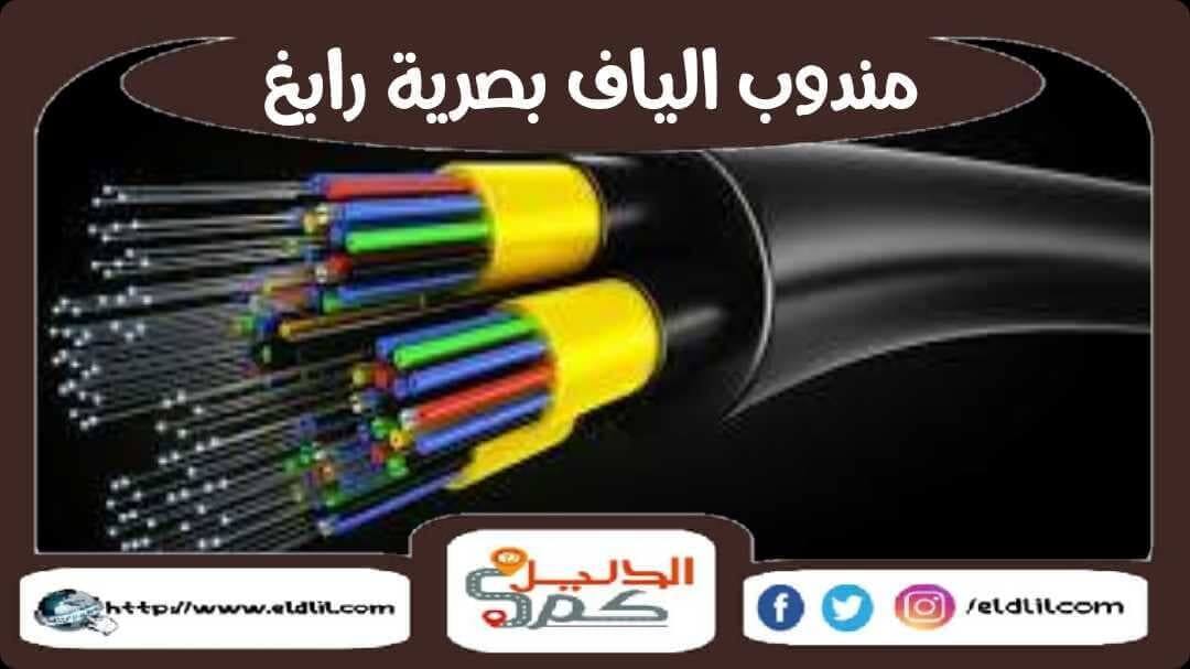 ألياف stc