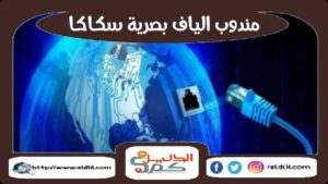 مندوب الياف بصرية سكاكا