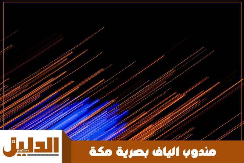مندوب الياف بصرية مكة الأكثر طلبا عام 2026