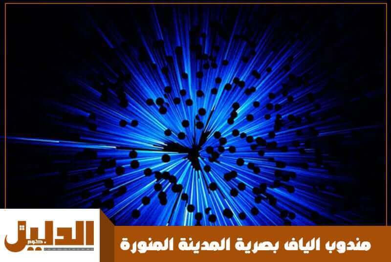 مندوب الياف بصرية المدينة المنورة الأكثر جاهزية عام 2026